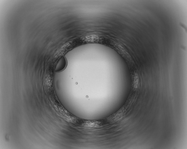 X0000100380569200806201653