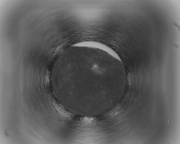 X0000100380570200806201653