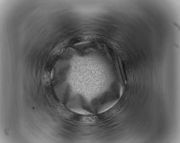 X0000100380571200806201653
