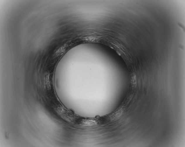 X0000100380572200806201653