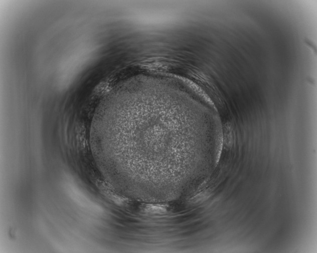 X0000100380573200806201653