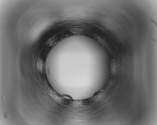 X0000100380574200806201653