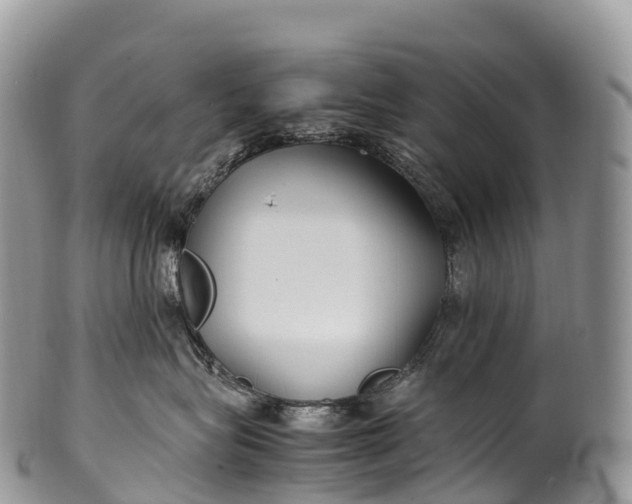 X0000100380575200806201653