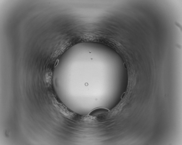 X0000100380576200806201653