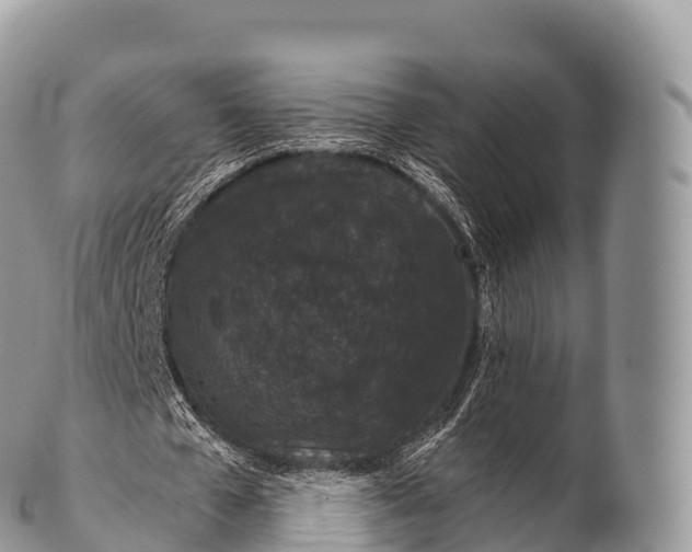 X0000100380577200806201652