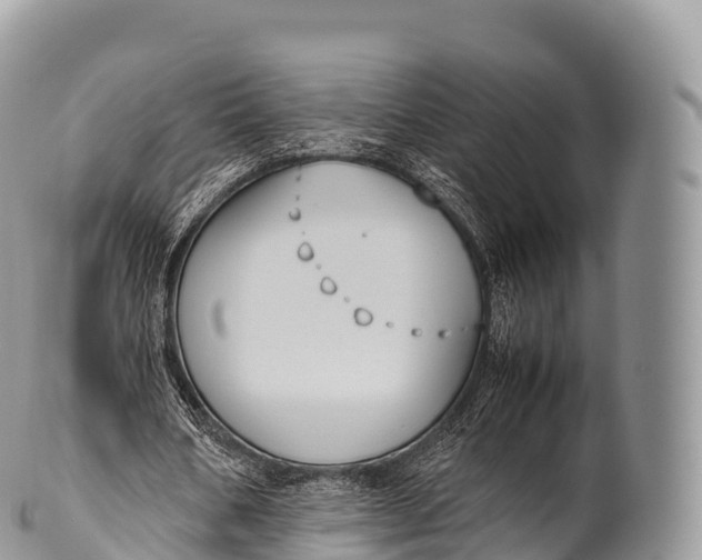 X0000100380578200806201652