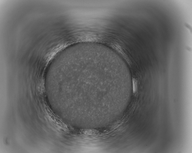 X0000100380579200806201652