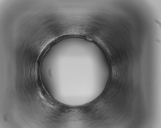 X0000100380580200806201652