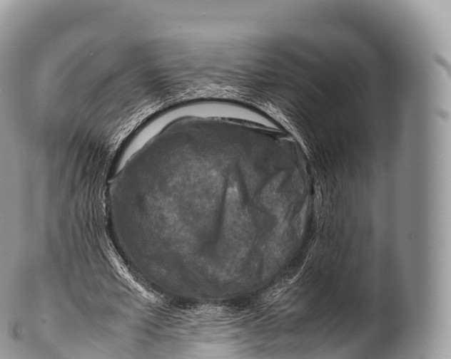 X0000100380581200806201652
