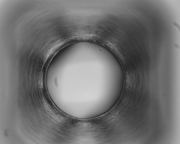 X0000100380582200806201652