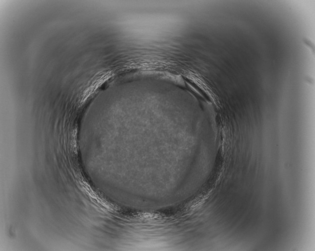 X0000100380585200806201652
