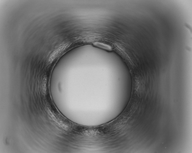 X0000100380586200806201652