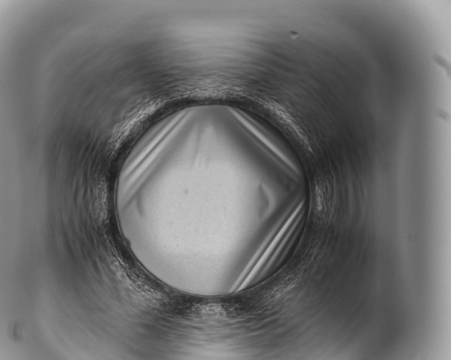 X0000100380588200806201652