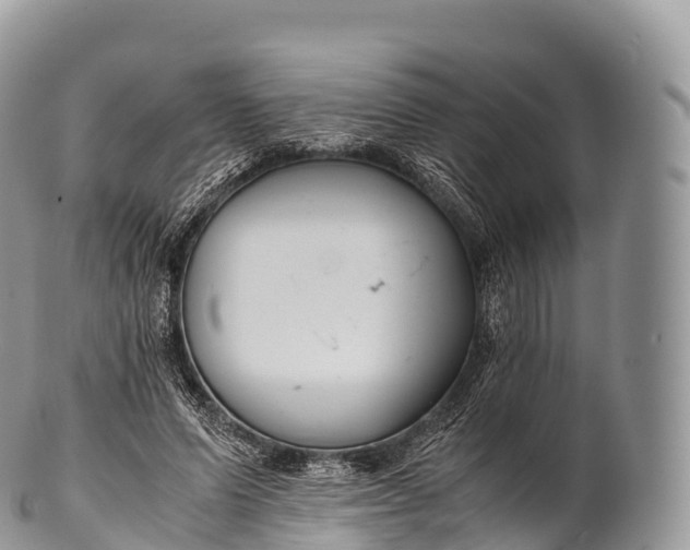X0000100380591200806201652