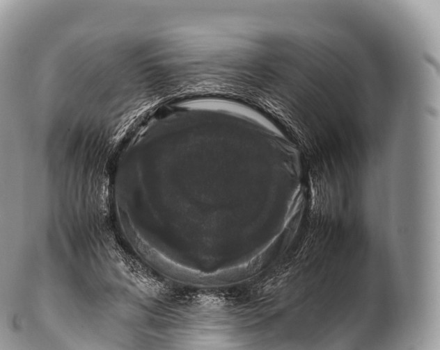 X0000100380592200806201652