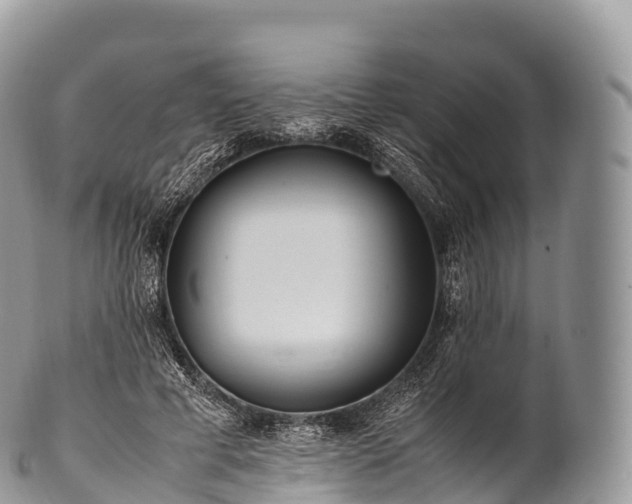 X0000100380593200806201652