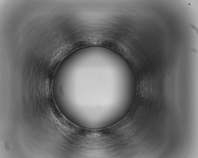 X0000100380594200806201652
