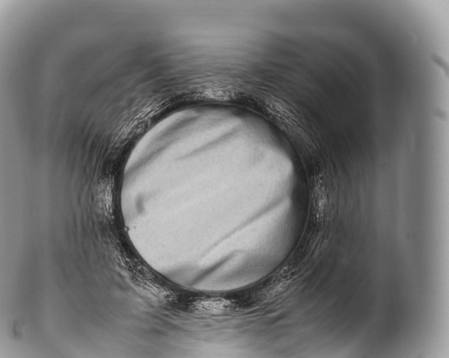 X0000100380595200806201652