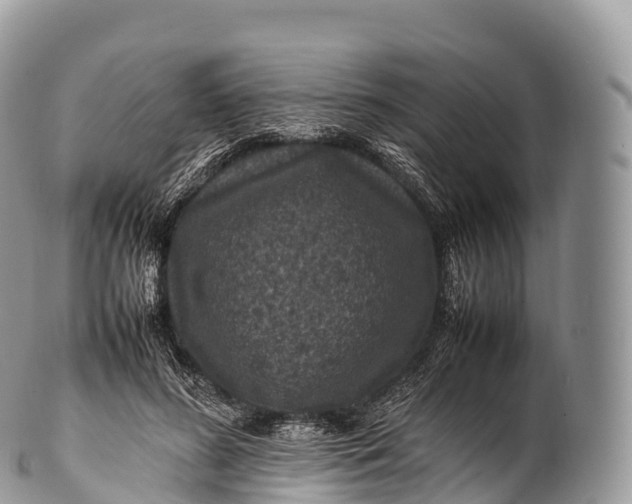 X0000100380596200806201652