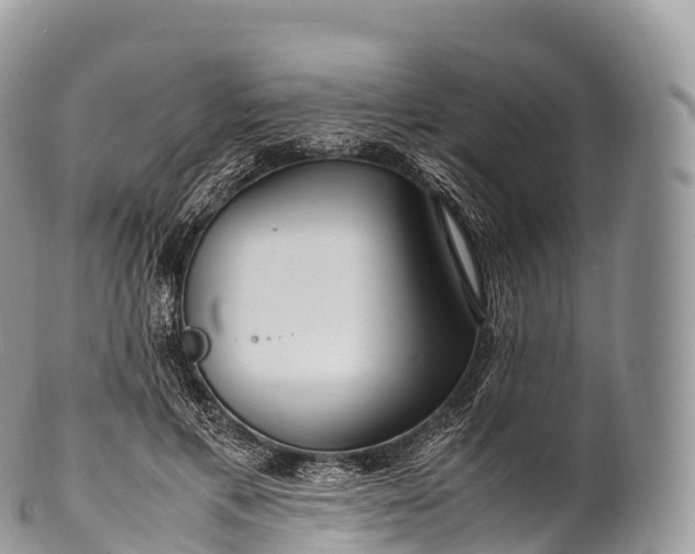 X0000100380597200806201652