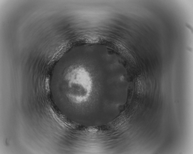 X0000100380598200806201652