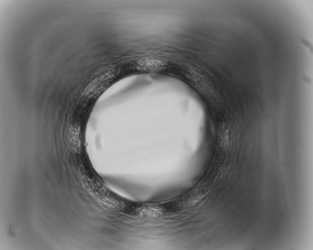 X0000100380599200806201652