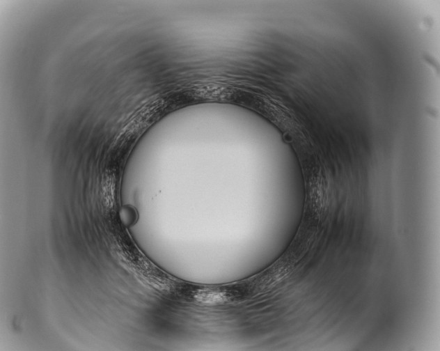 X0000100380602200806201652