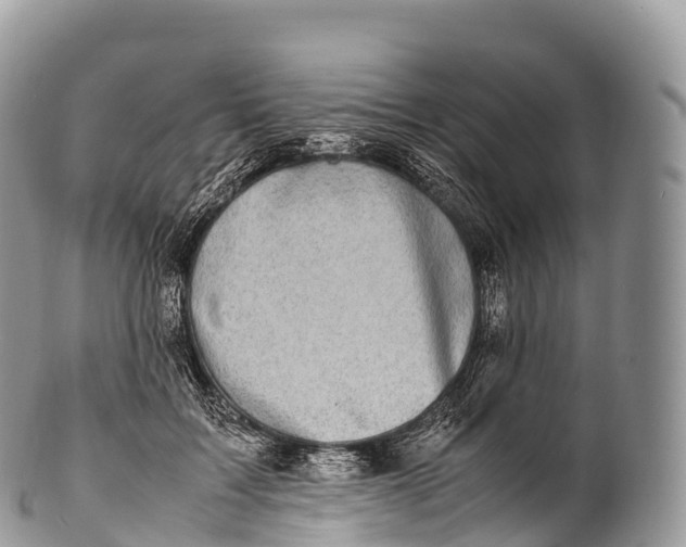 X0000100380603200806201652
