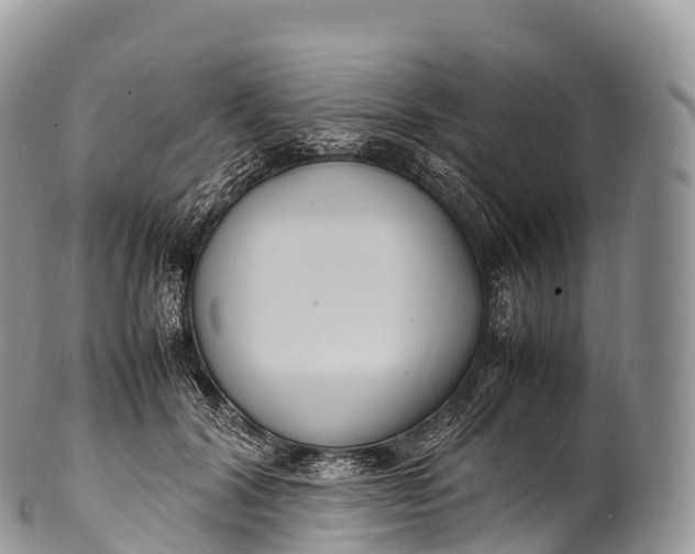 X0000100380604200806201652