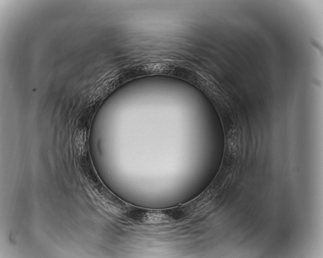 X0000100380605200806201652