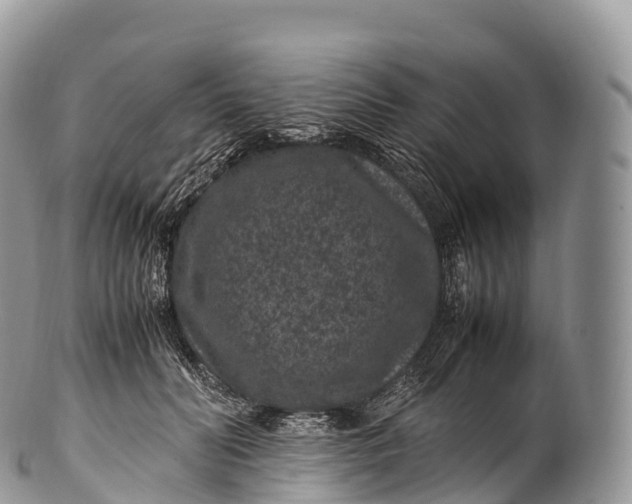 X0000100380606200806201652