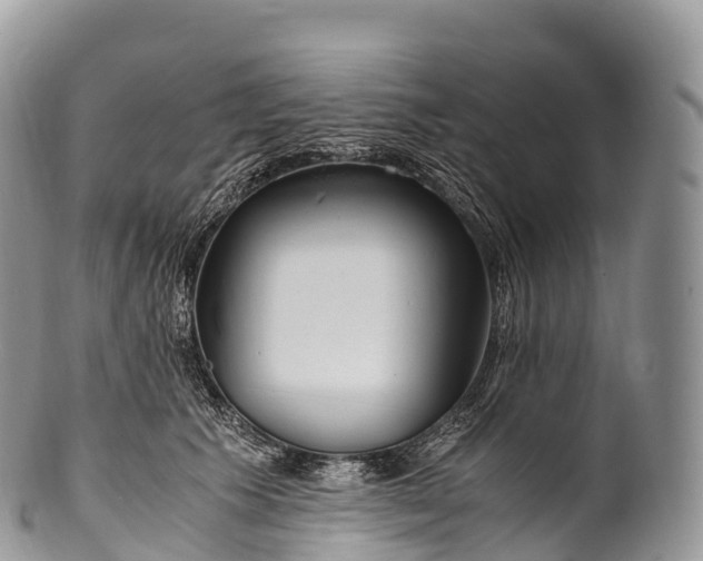 X0000100380609200806201652