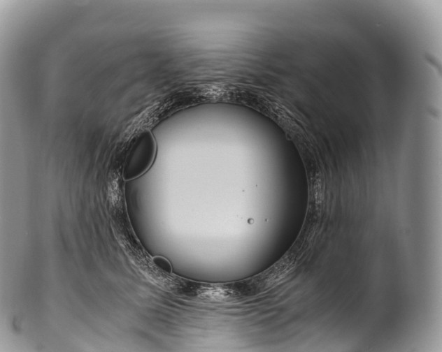 X0000100380611200806201652