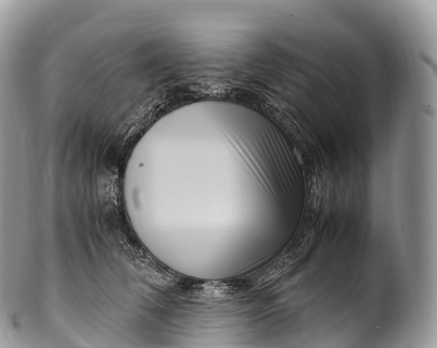 X0000100380612200806201652