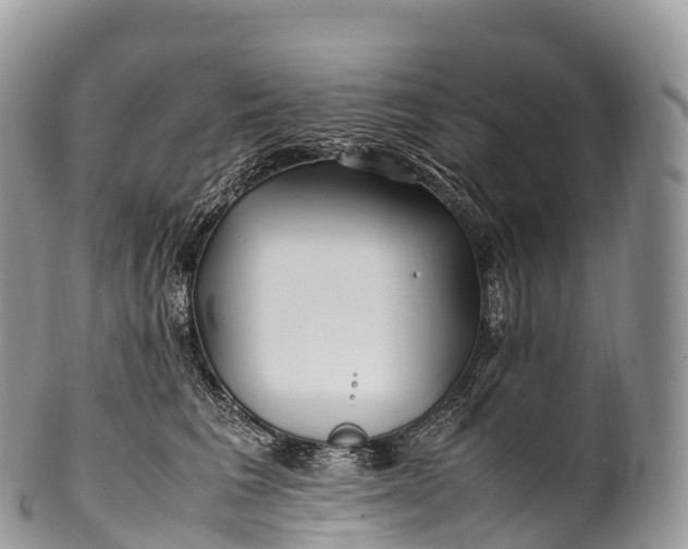 X0000100380613200806201652