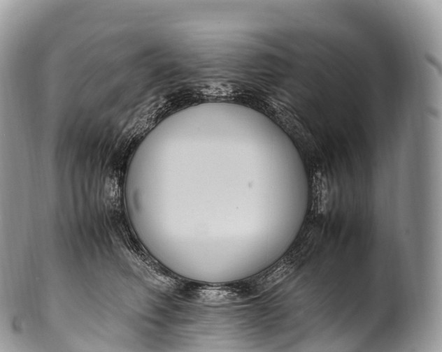 X0000100380614200806201652
