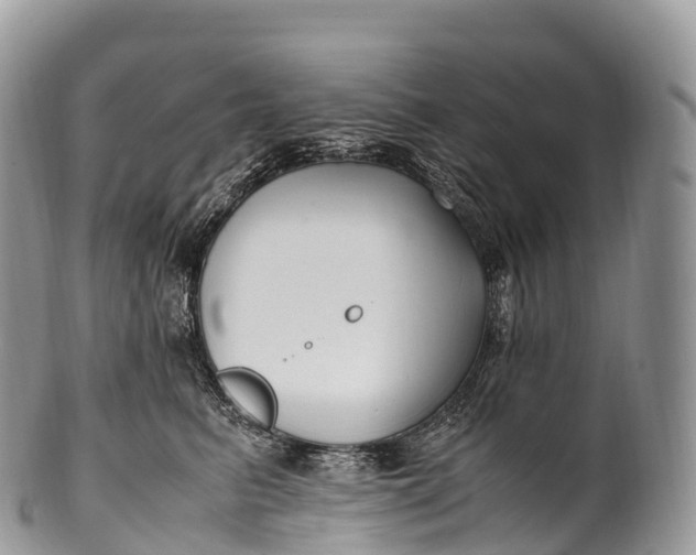 X0000100380615200806201652