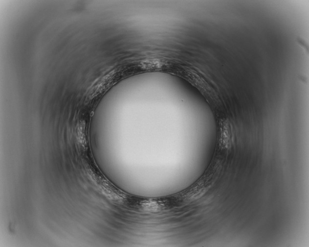X0000100380616200806201652