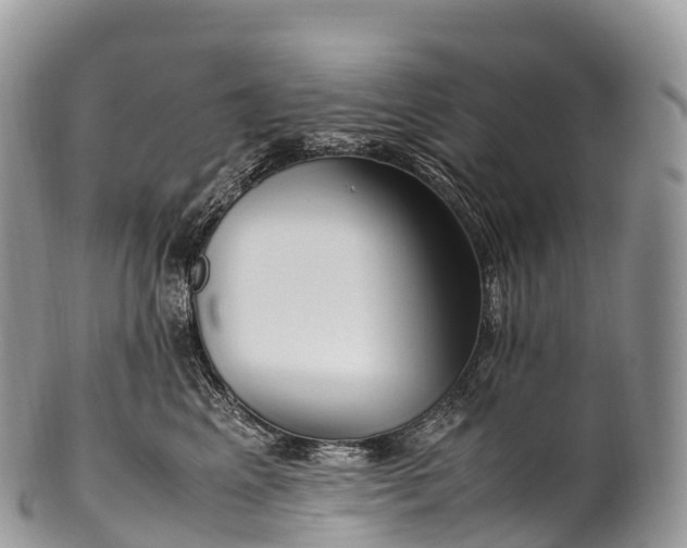 X0000100380617200806201652