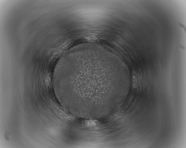 X0000100380618200806201652
