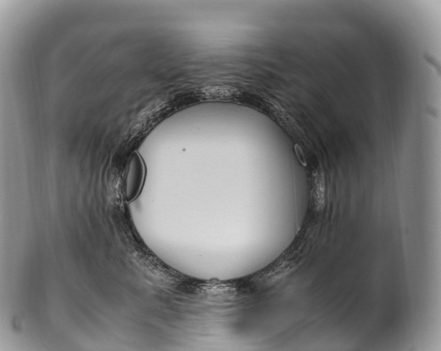 X0000100380619200806201652