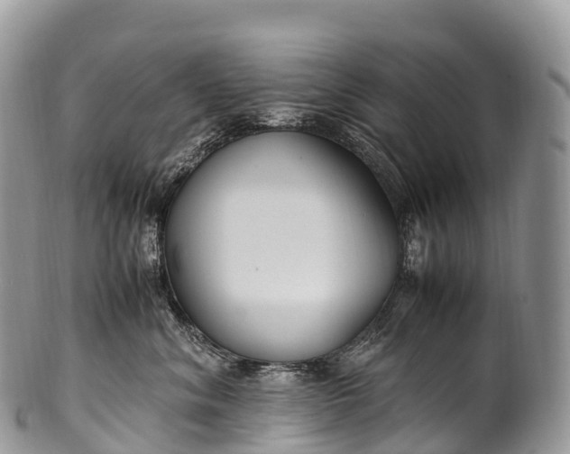 X0000100380620200806201652