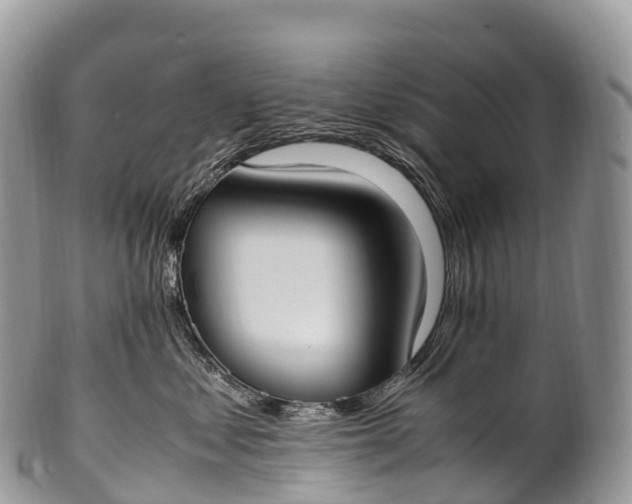 X0000100380621200806201652