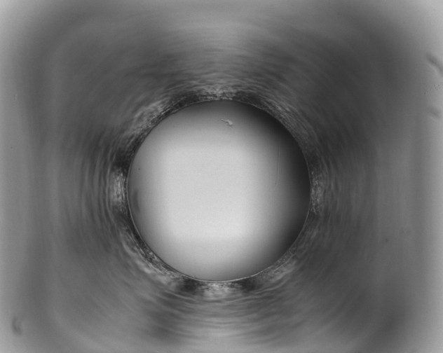 X0000100380623200806201652