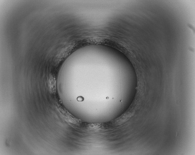 X0000100380624200806201652
