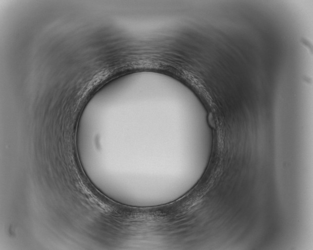 X0000100380625200806201651