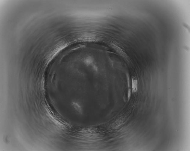 X0000100380627200806201651