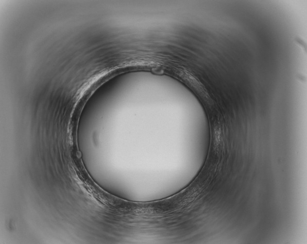 X0000100380628200806201651