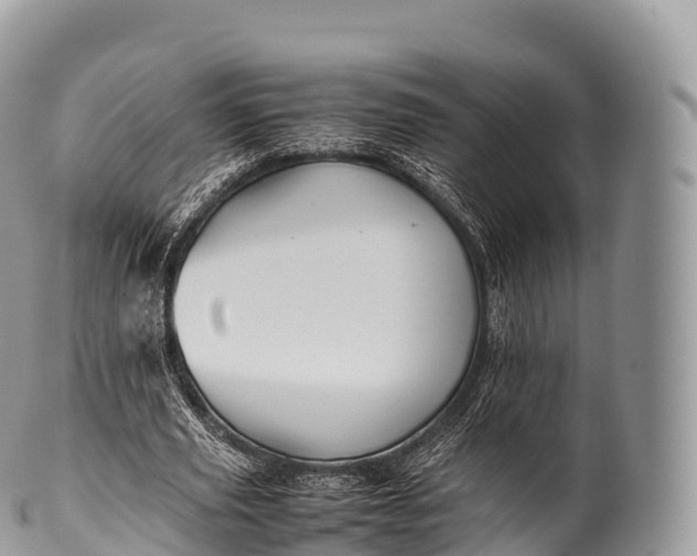 X0000100380629200806201651