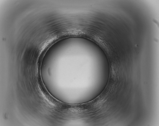 X0000100380630200806201651
